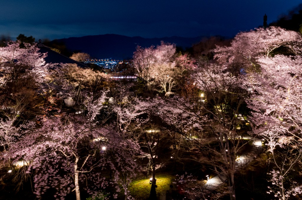 風が春を連れてきた。夜はそれを輝かせる。